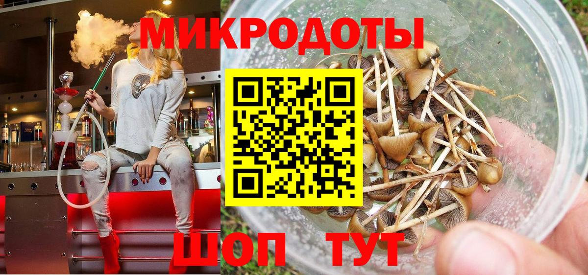 Заводоуковск  Псилоцибиновые грибы Cubensis  Вход с VPN 
