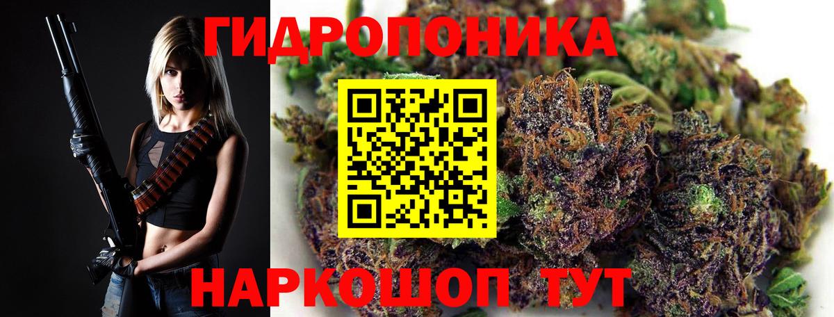 Заводоуковск  Шишки марихуана OG Kush  Вход с VPN  Канабис THC 21%  МАРИХУАНА AK-47 